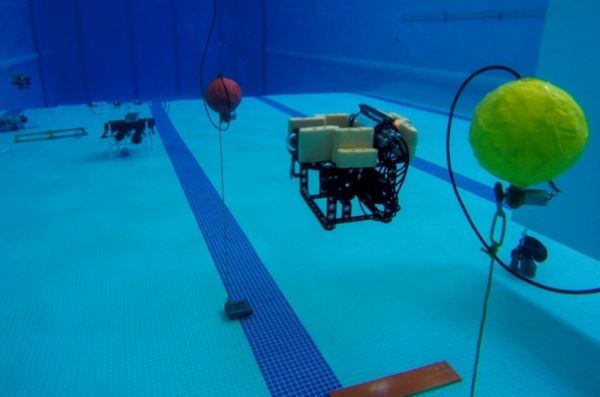 МГУ им Невельского укрепляет лидерство в сфере молодежной подводной робототехники 