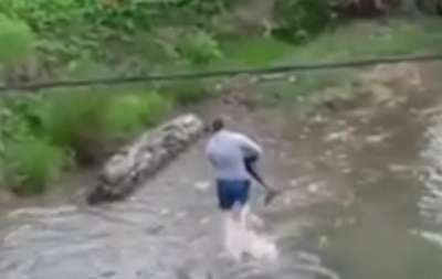 Мужчина спас дельфина, случайно заплывшего в реку. Видео