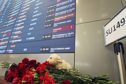 Участника расследования авиакатастрофы в Шереметьево обвинили в необъективности
