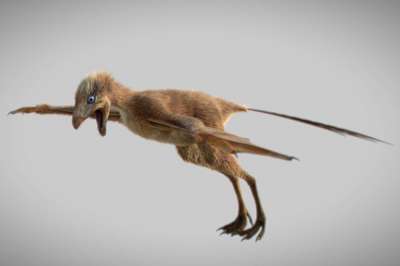 Найден новый вид динозавров с перепончатыми крыльями